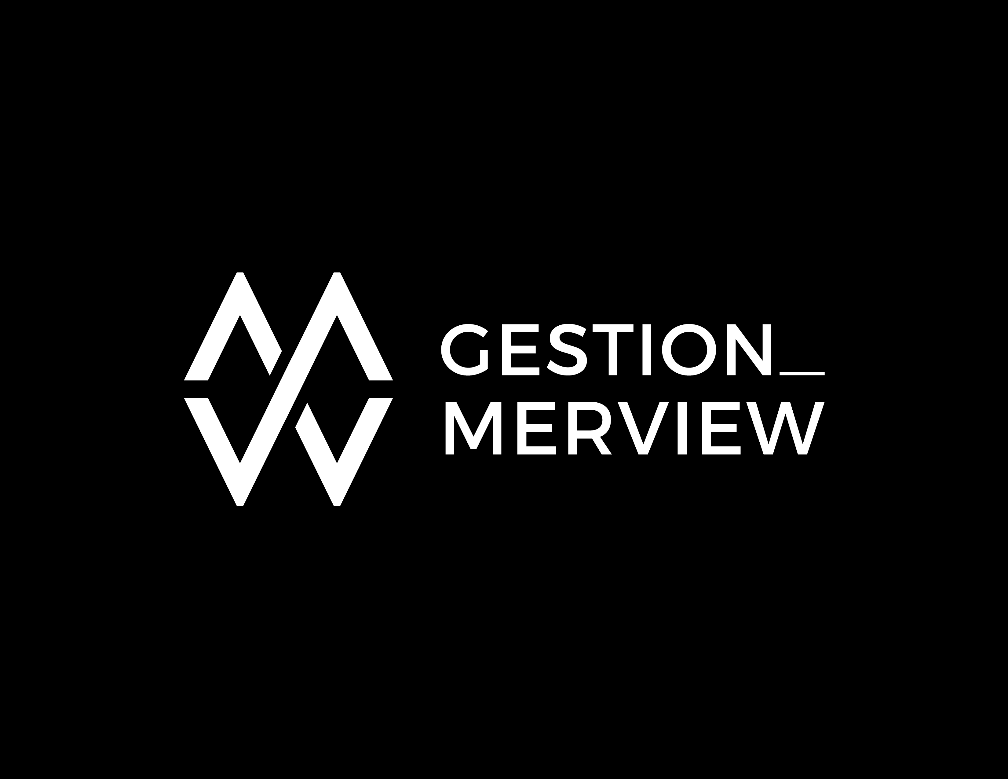 Logo Gestion Merview